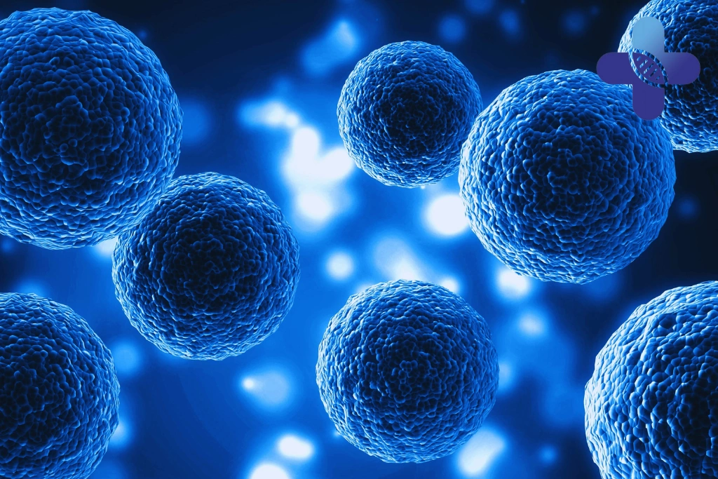 Medium-Term Changes (1–3 Months)