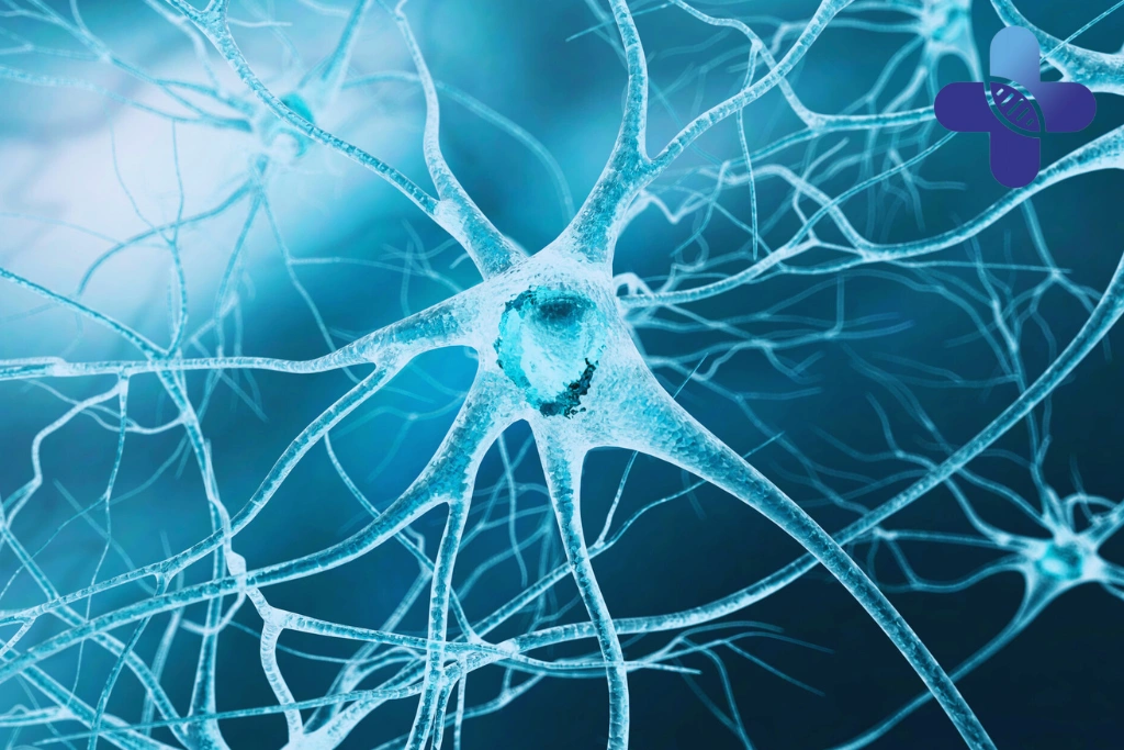 The Role of Chronic Inflammatory Signaling