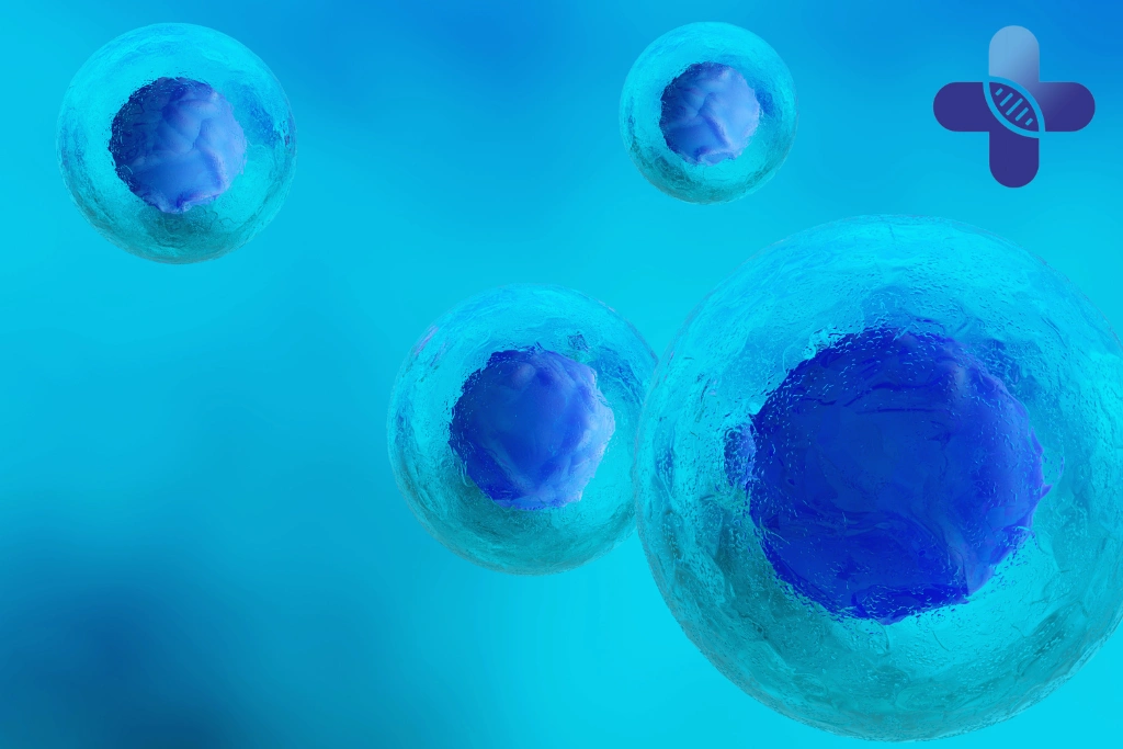 The Role of Cytokines and Growth Factors in Paracrine Communication