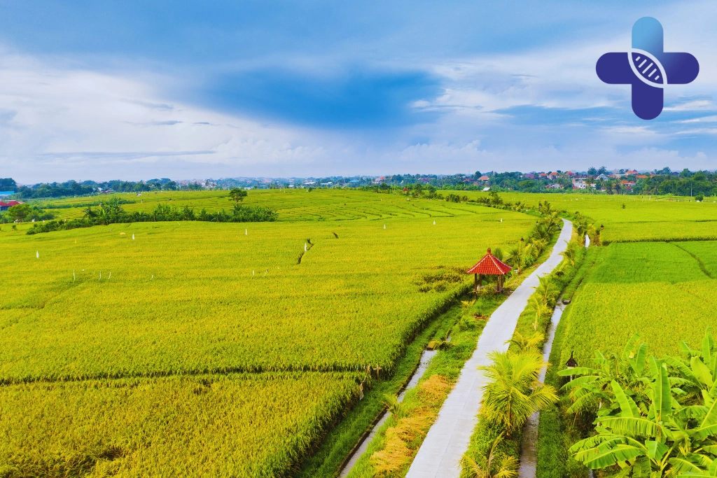 Conclusion - Fatigue & Headache After Partying in Bali