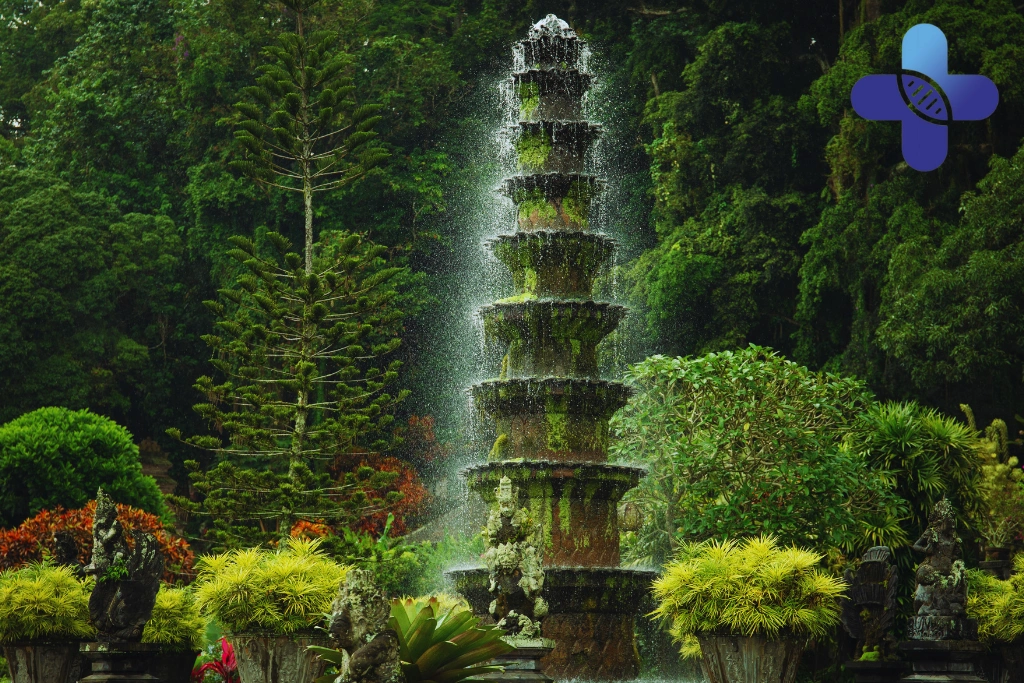 Conclusion - Feel Unwell After Partying in Bali_ Here’s Why