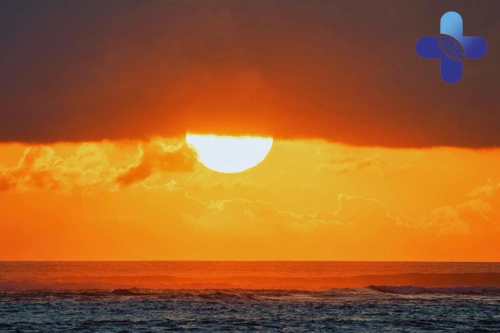 Conclusion - How Influenza Spreads During Travel in Bali