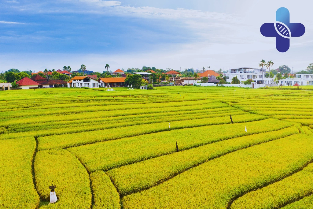 Conclusion - Rehydration After Alcohol in Bali_ Best Recovery Tips