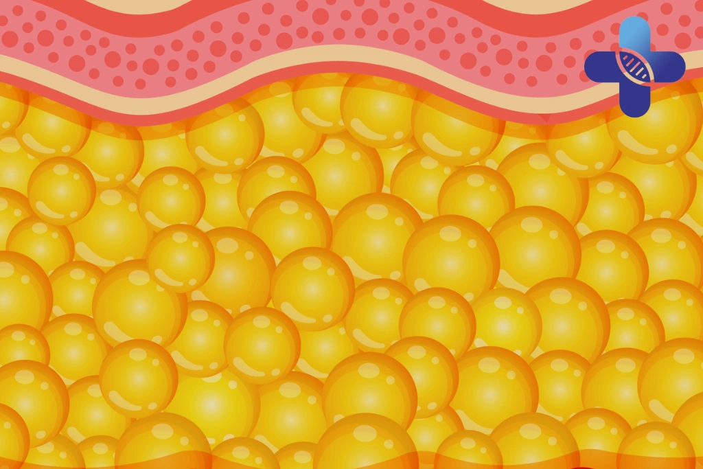 Conclusion - Secretome for Healthy Aging in Bali