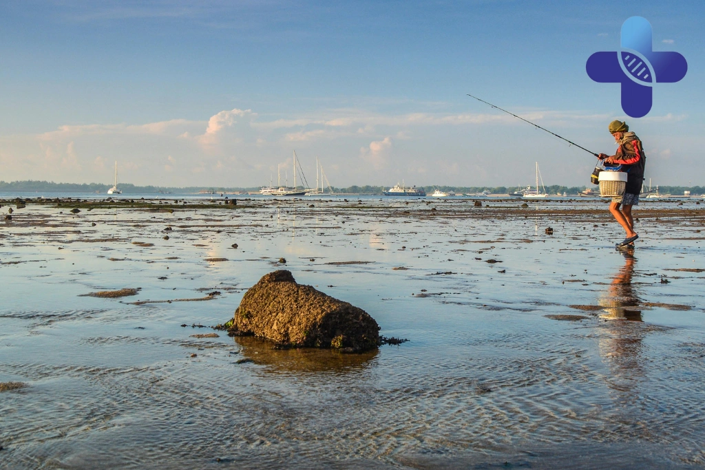 Conclusion - When Stomach Problems During a Bali Trip May Require a Doctor