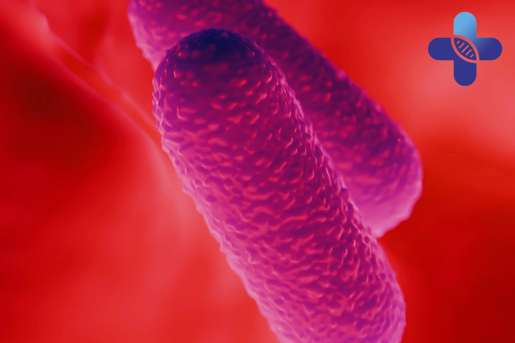 How Bacterial Infections Spread Through Food and Water in Bali