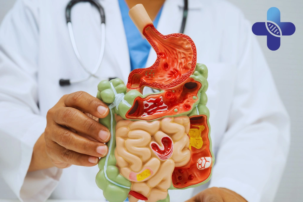 Situations When Digestive Symptoms May Require Medical Evaluation