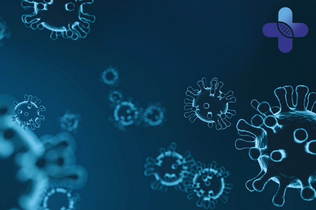 Tourist Destinations and Increased Virus Transmission