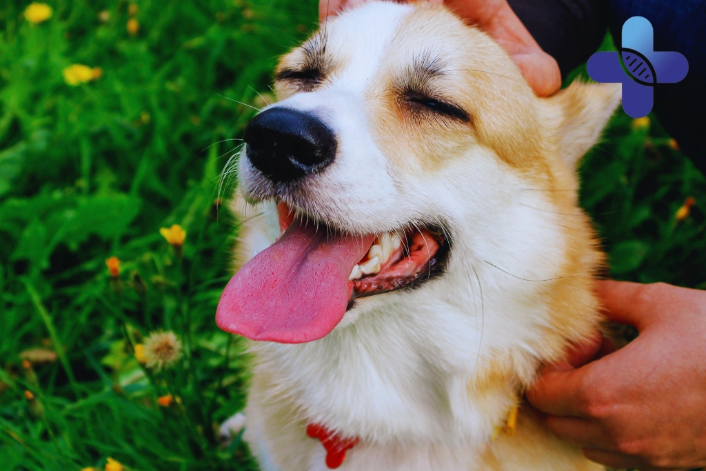 What Makes a Bite More Serious