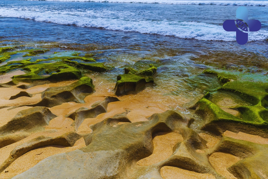 Conclusion - Severe Dehydration in Jimbaran Bali_ Warning Signs