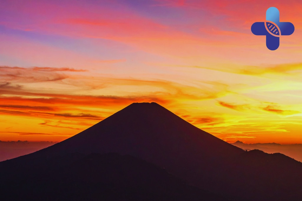 Conclusion - Typhoid Treatment in Bali_ Options for Travelers