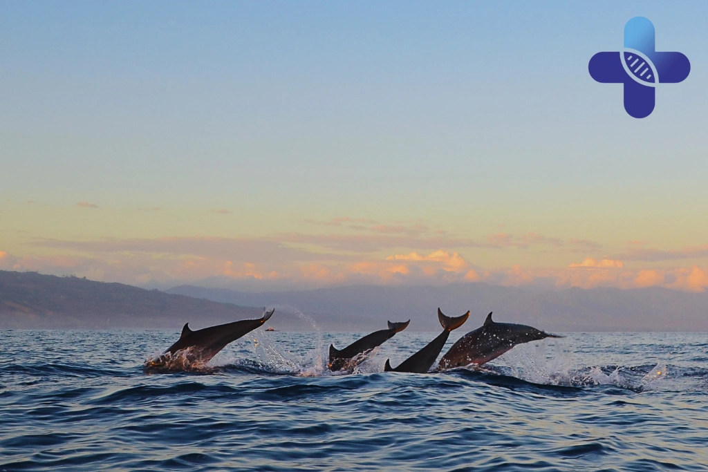 Conclusion - When to Visit a Doctor for Fever in Bali_ Signs to Know