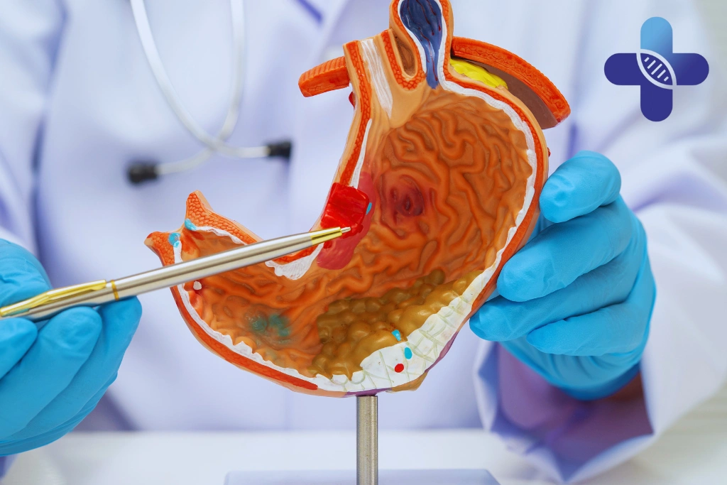How the Digestive System Adapts During Travel