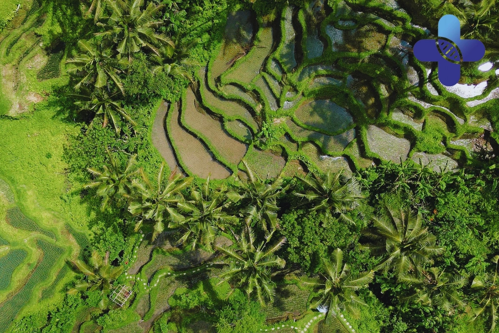 Conclusion - Sunlight Exposure May Help Reset Your Body Clock in Bali