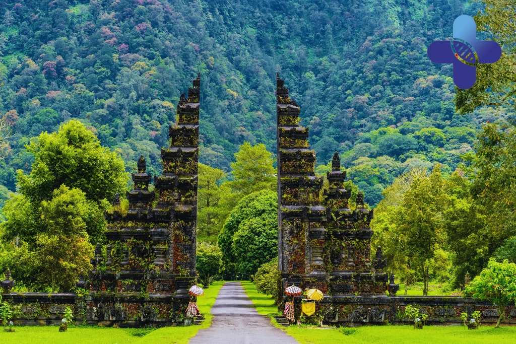 Conclusion - Weakened Immune System in Bali_ AIDS Concern