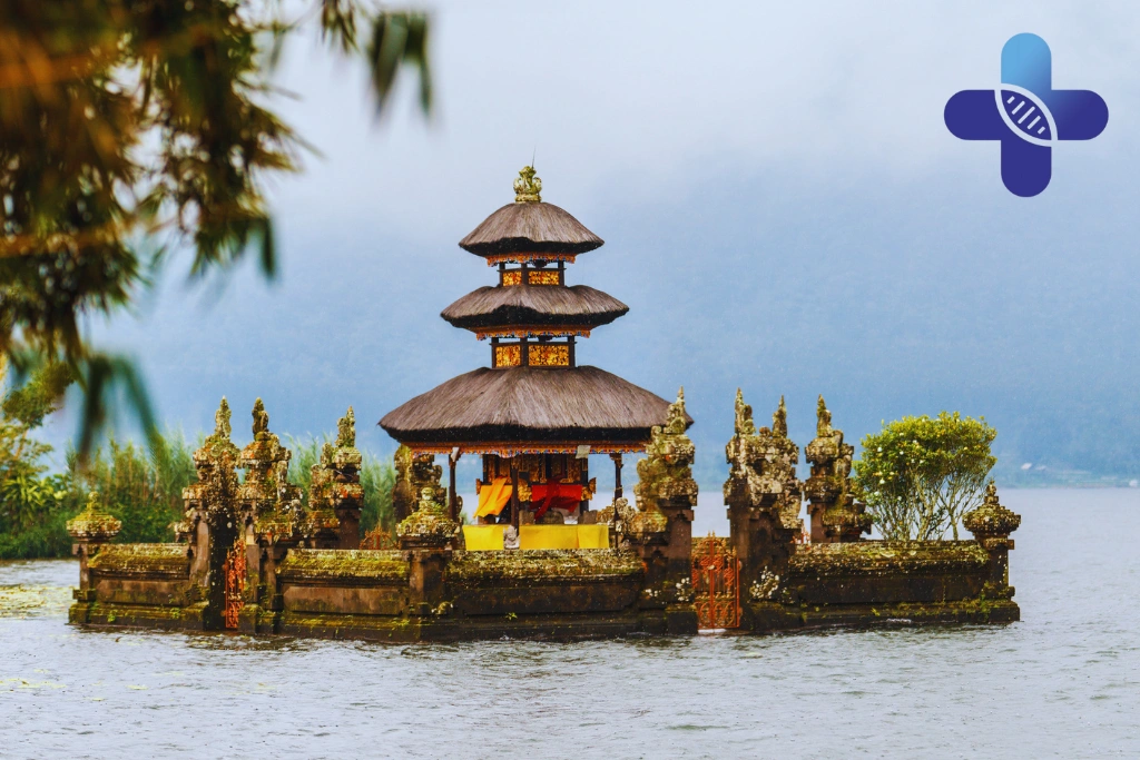 Conclusion - Why You Feel Sleepy During the Day but Awake at Night in Bali