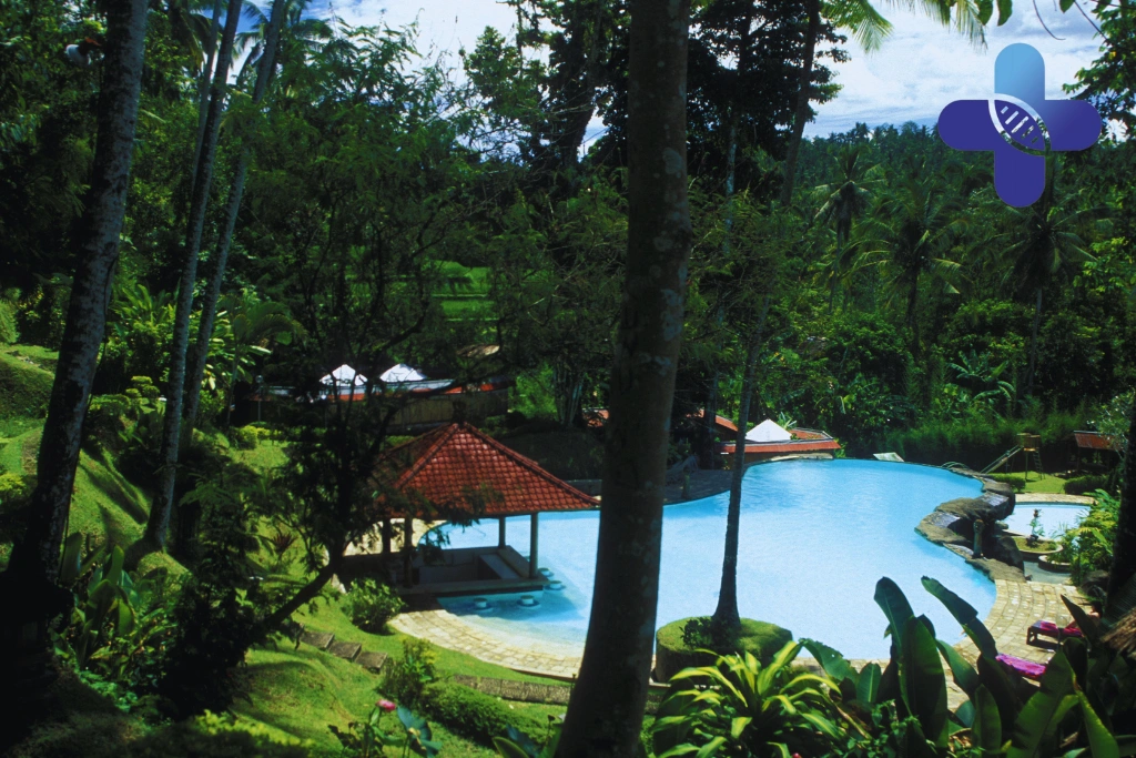 Animal Bite Hotel Ubud_ What Guests Should Do After a Bite, Scratch, or Saliva Exposure