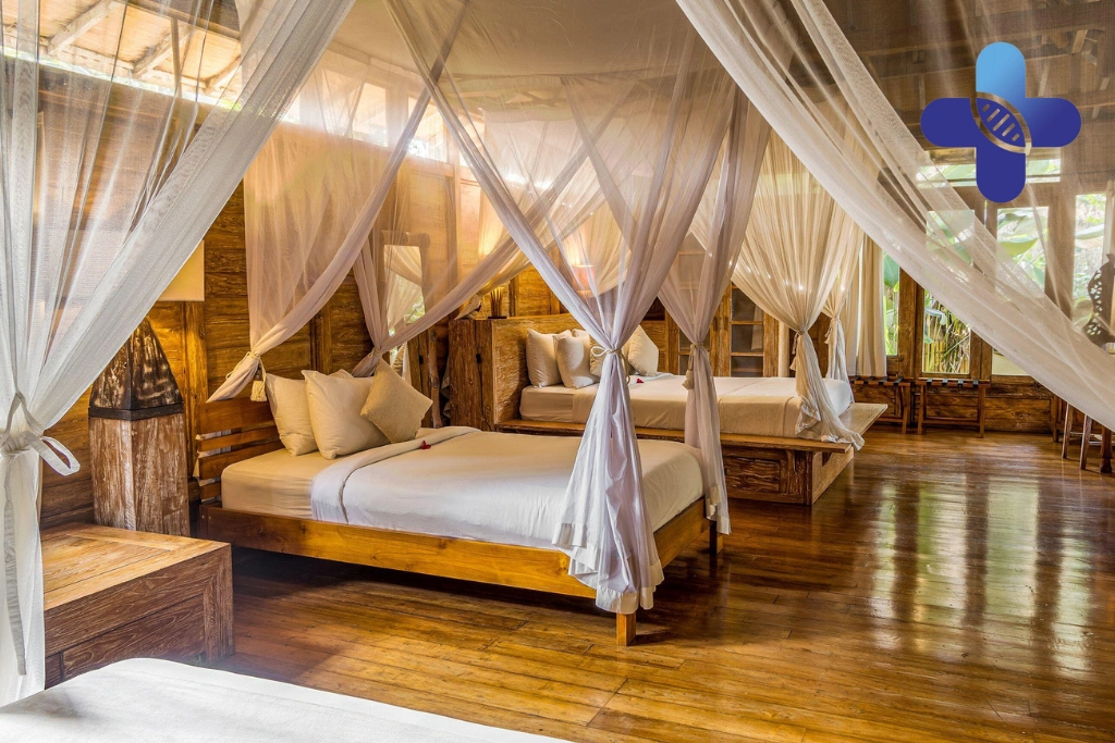 Animal Bites in Ubud Villa_ What Travelers Should Know About Bites, Scratches, and Medical Care