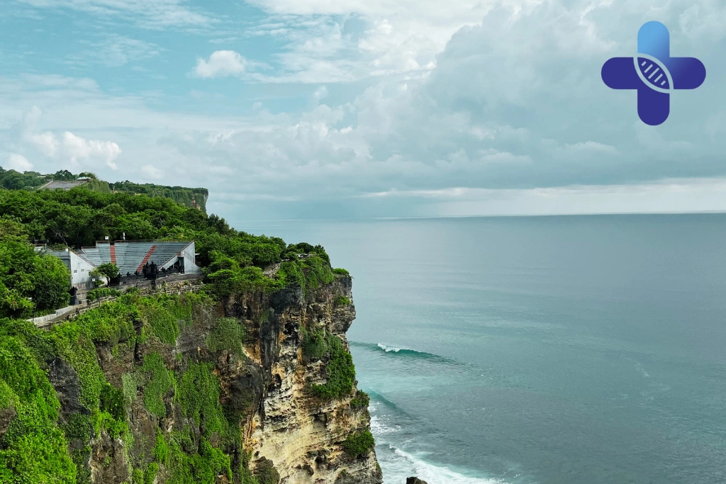 Conclusion - Animal Bite Medical Care in Uluwatu_ When to Go