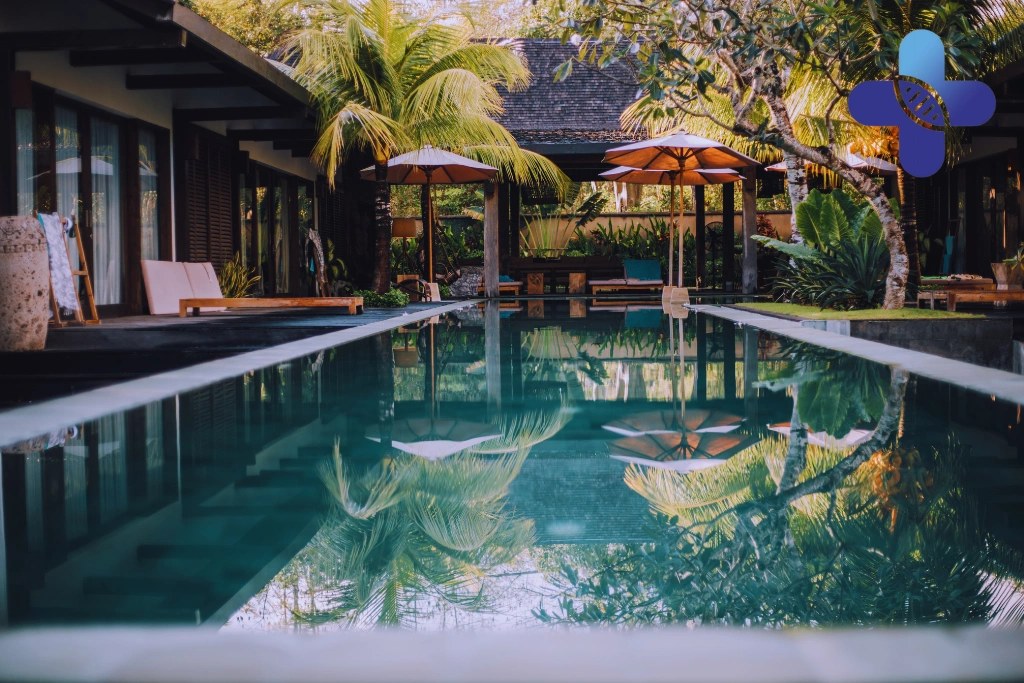 Conclusion - Animal Bites in Ubud Villa_ Safety Guide