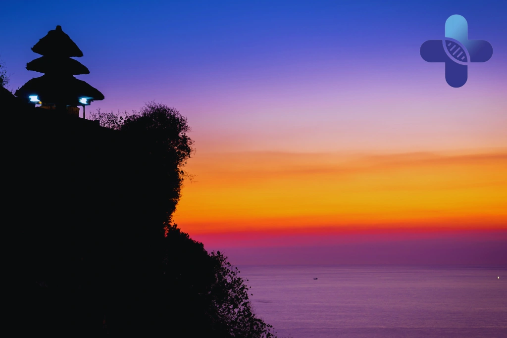 Conclusion - Animal Bites in Uluwatu_ What Travelers Should Know