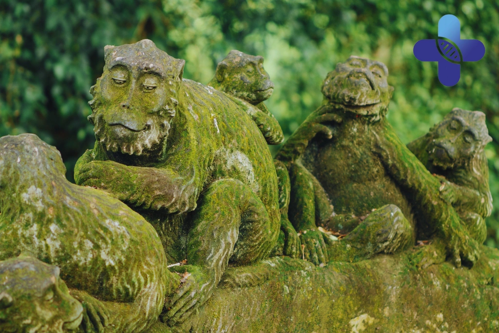Conclusion - Animal Encounters in Ubud_ Safety Guide