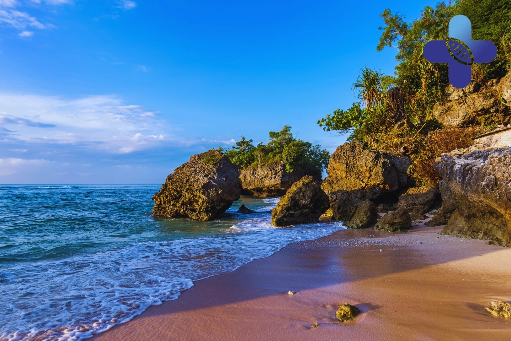 Conclusion - Dog Bite Rabies Vaccine in Uluwatu_ When to Get Checked