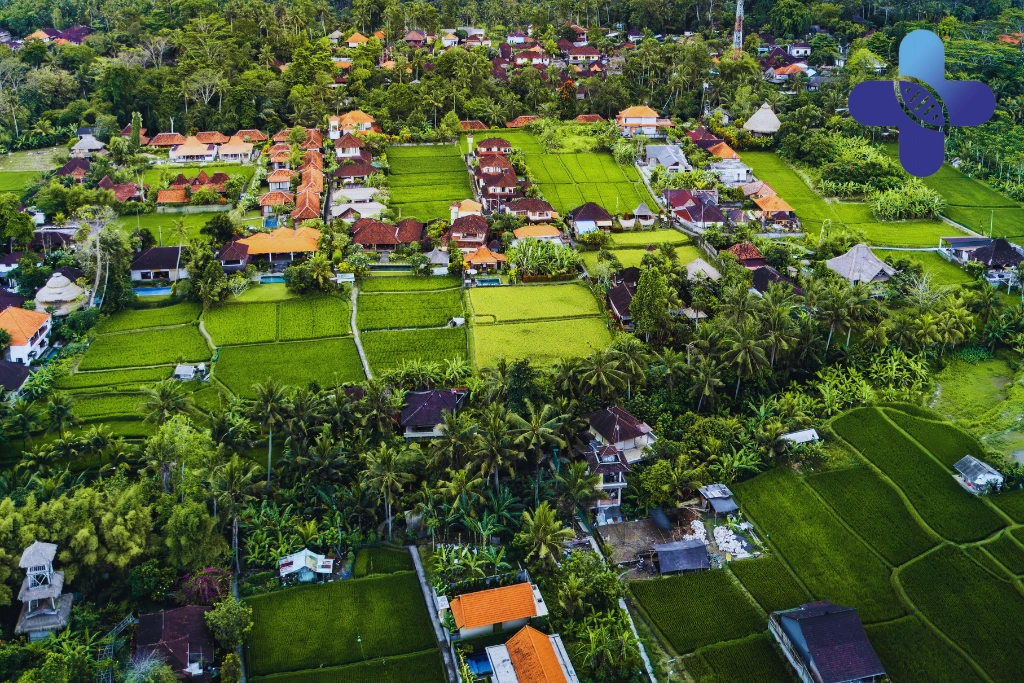 Conclusion - Dog Bite in Ubud_ What To Do First