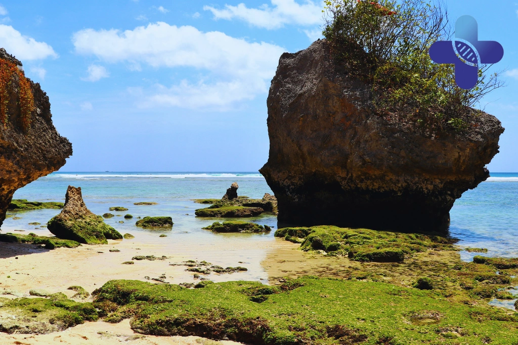 Conclusion - Dog Bite in Uluwatu_ What Travelers Should Do