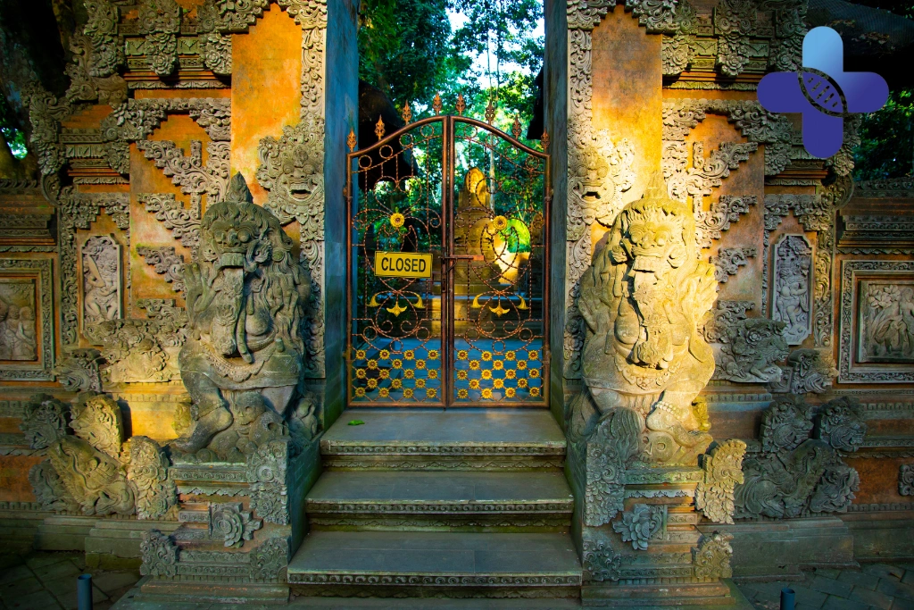 Conclusion - Monkey Forest Ubud Health Risks Guide