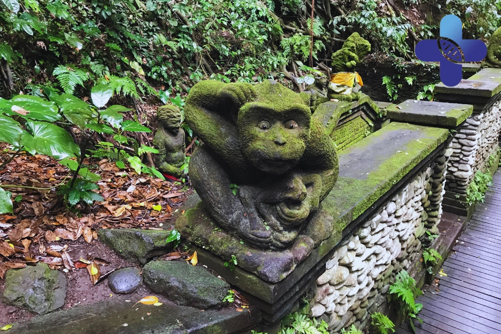 Conclusion - Monkey Scratch in Ubud_ What to Do