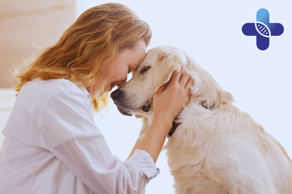 Conclusion - Pet Dogs in Ubud_ Traveler Safety Guide