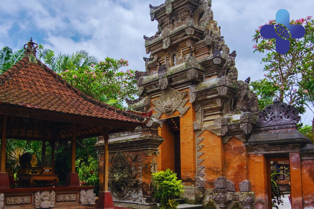 Conclusion - Rabies in Ubud_ Traveler Safety Guide
