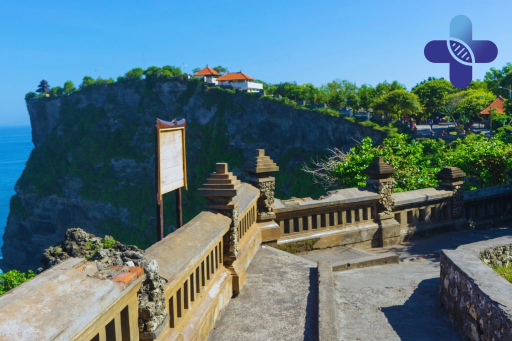 Conclusion - Small Dog Bite in Uluwatu_ Should Travelers Get Checked