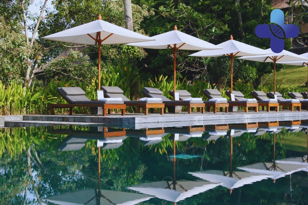 Conclusion – Animal Bite Hotel Ubud_ Guest Safety Guide