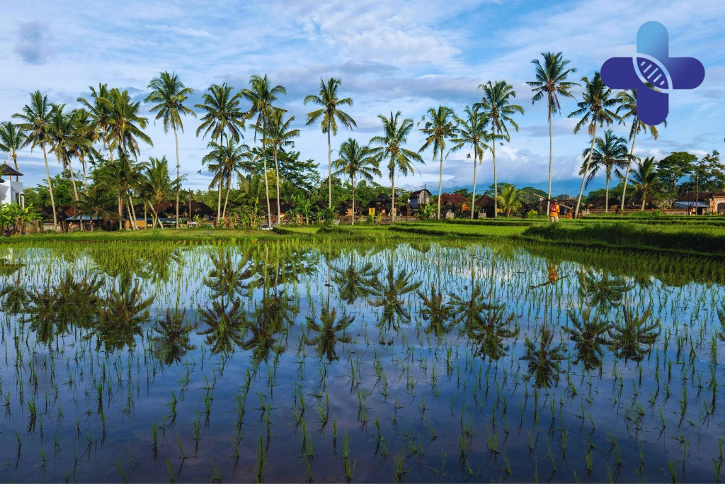 Conclusion – Animal Saliva on Broken Skin in Ubud