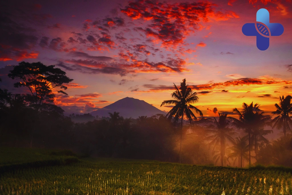 Conclusion – HRIG After Animal Bite in Ubud_ Guide