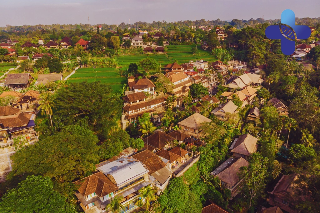 Conclusion – Rabies Vaccine Near Ubud_ Traveler Guide