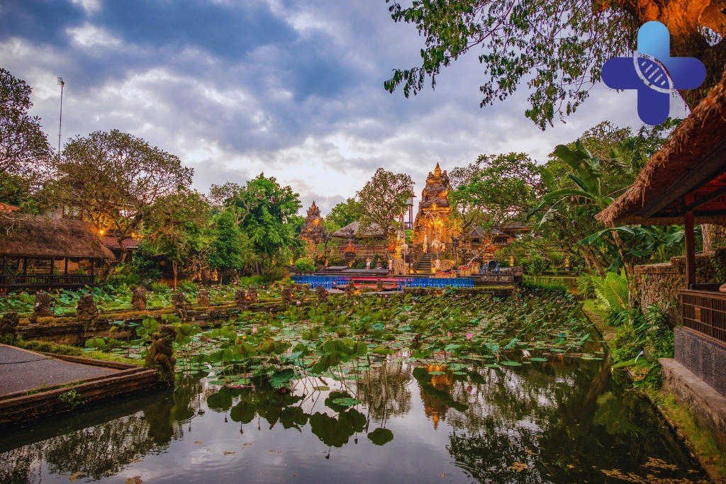 Conclusion – Rabies Vaccine Support After Animal Bite in Ubud
