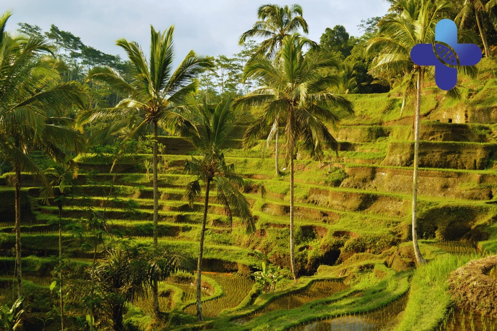 Conclusion_ Ambulance in Ubud Bali for Travelers_ Transport Guide