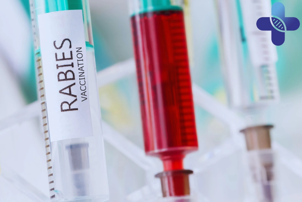 Human Rabies Vaccine in Uluwatu_ What Travelers Should Know After a Bite, Scratch, or Saliva Exposure