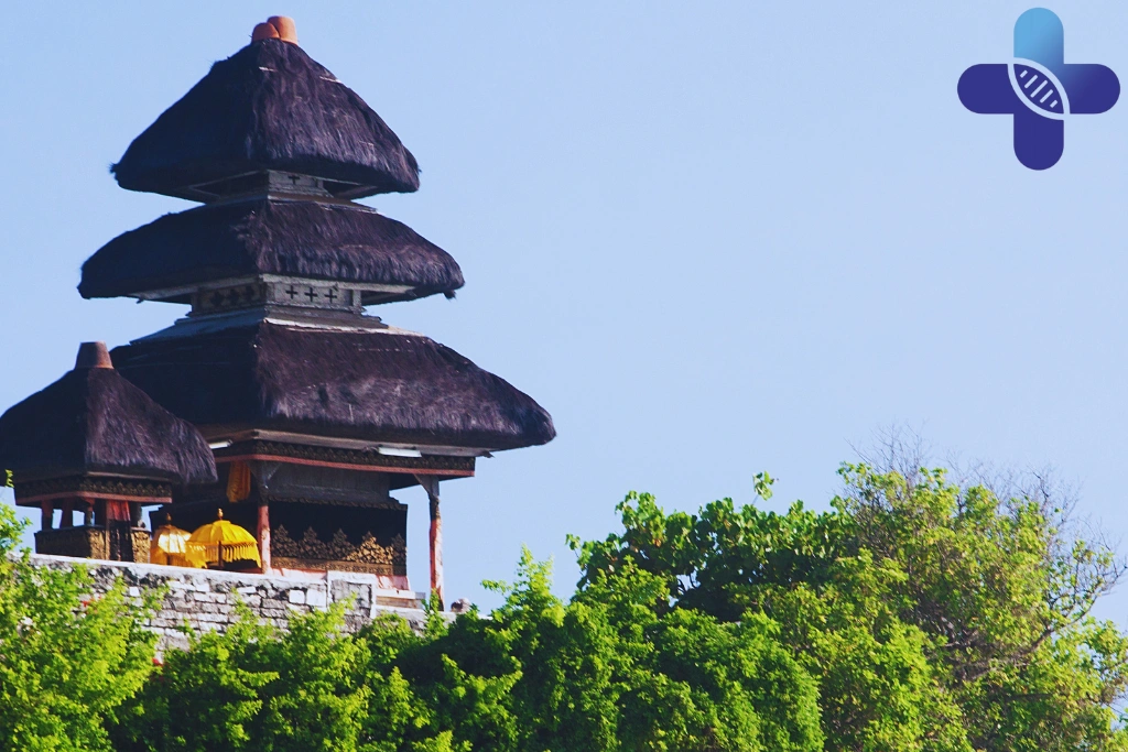 Monkey Bite in Uluwatu Temple What Travelers Should Do After a Bite or Scratch