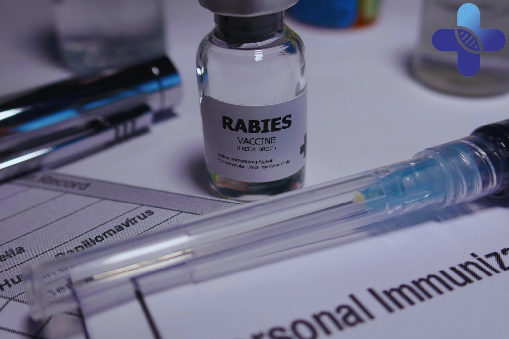 Post-Exposure Rabies Treatment in Uluwatu_ What Travelers Should Expect After a Bite, Scratch, or Saliva Exposure