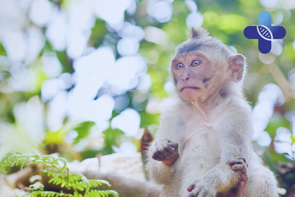Rabies Symptoms After Bite in Ubud_ Why Travelers Should Not Wait Before Seeking Medical Guidance