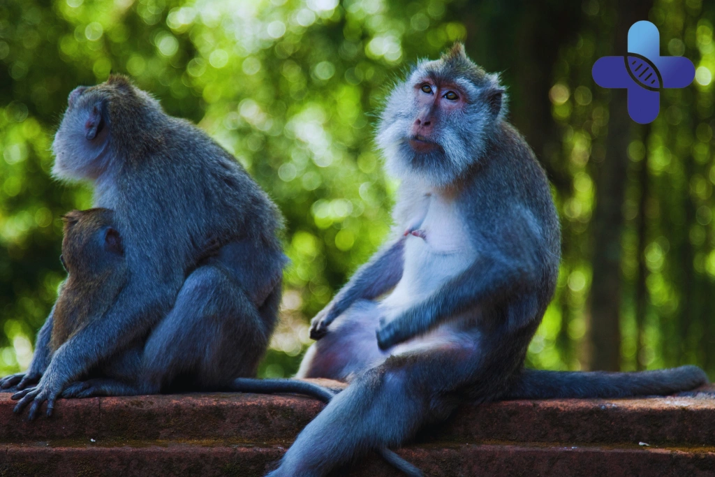 Why a Familiar Villa Animal May Still Need Assessment