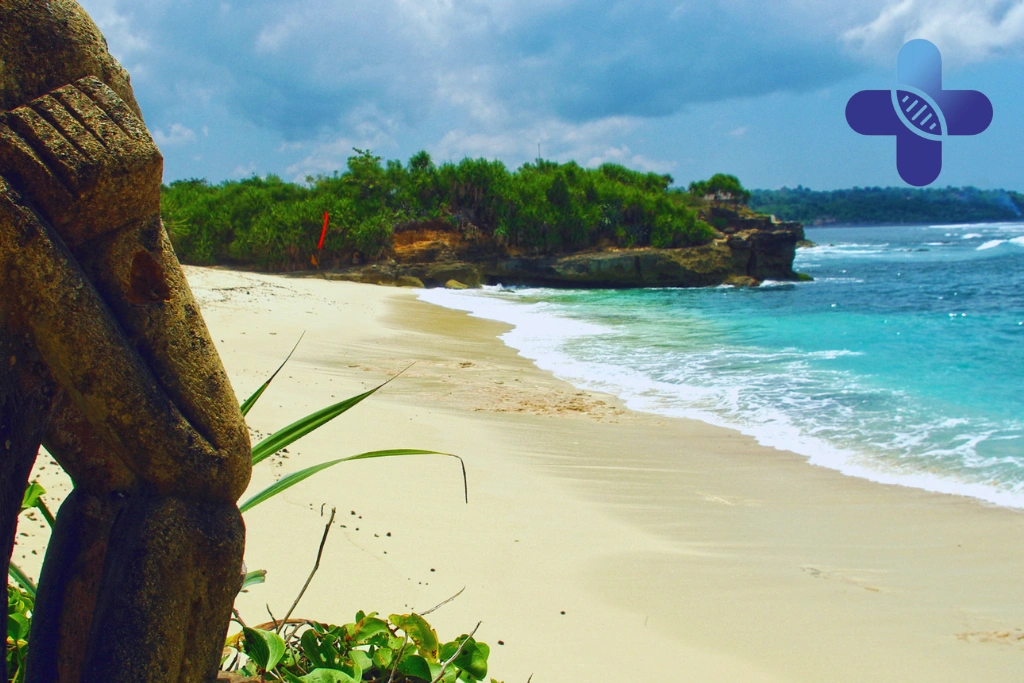 Conclusion - How Dehydration Affects Your Immune System in Bali