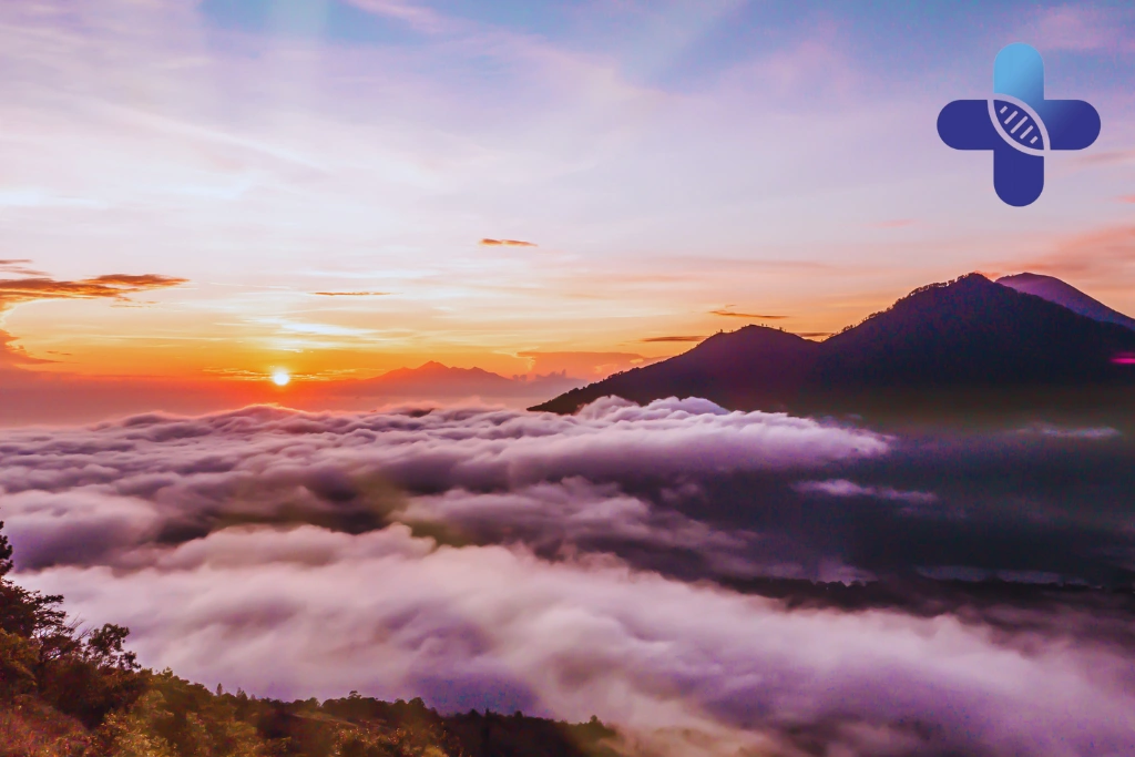 Conclusion - How to Choose Immune Support During a Bali Trip