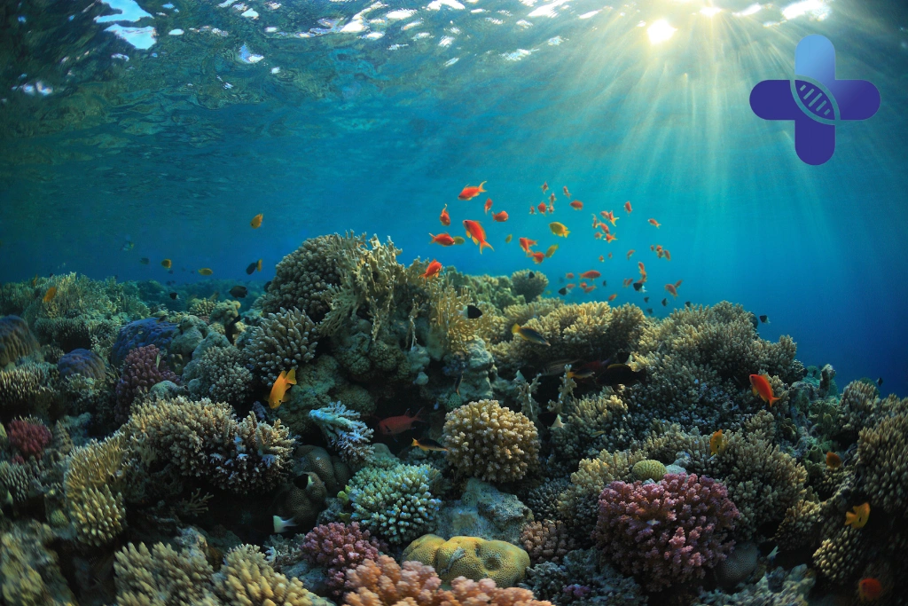 Coral Cut Treatment Jimbaran Bali_ A Guide for Travelers