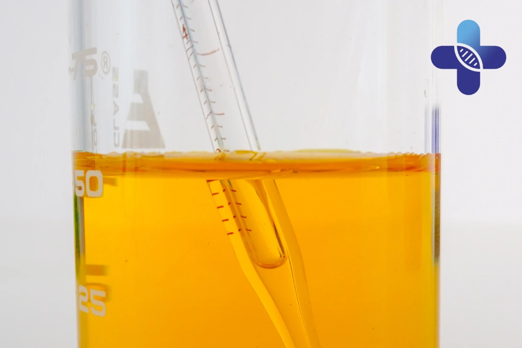 Urinary Discomfort, Hydration, and Sanur Activities