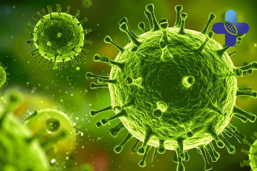 Why Do Some Travelers Feel Like They Catch Every Virus in Bali_ Exposure, Sleep, and Immune Recovery During Travel